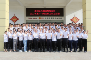 總結過去，計劃未來，協(xié)同創(chuàng)新，再創(chuàng)佳績！洛陽正大舉行2023年上半年工作總結會議
